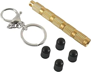 ECVV Tire Deflator, 4 in-1 Solid Brass Easy Storage and Using Air Down Tool, Tire Pressure Deflators for Offroad Vehicle with Replacement Valve Caps Key Chain