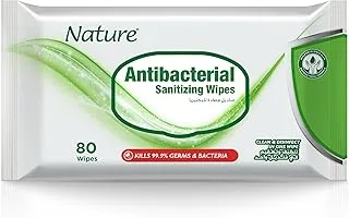 Nature Antibacterial Sanitizing 80 Wipes with Fliptop Lid, Green