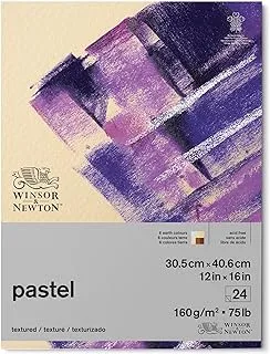 Winsor & Newton Professional Pastel Paper Pad, 12