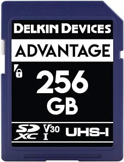 بطاقة ذاكرة Delkin Devices سعة 256 جيجابايت SDXC UHS-I (V30) (DDSDW633256G)