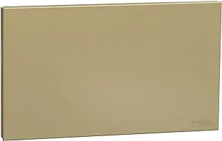 Schneider Electric Avataron C Blank Plate E8730TX_WG, 2 Gang, Wine Gold