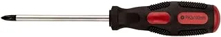 PHILLIPS SCREWDRIVER PH2X100MM