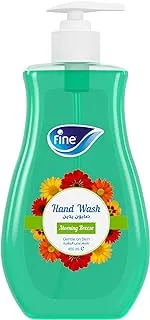 Fine Hand Wash, 450ml Bottle, Morning Breeze Scent Hand Wash Liquid, Keeps your Hands Feeling Fresh and Clean