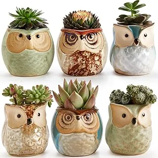 SUN-E Owl Pots Flowing Glaze Base Serial Set Ceramic Succulent Plant Pot Cactus Plant Pot Flower Pot Container Planter Gift Idea 6.35CM