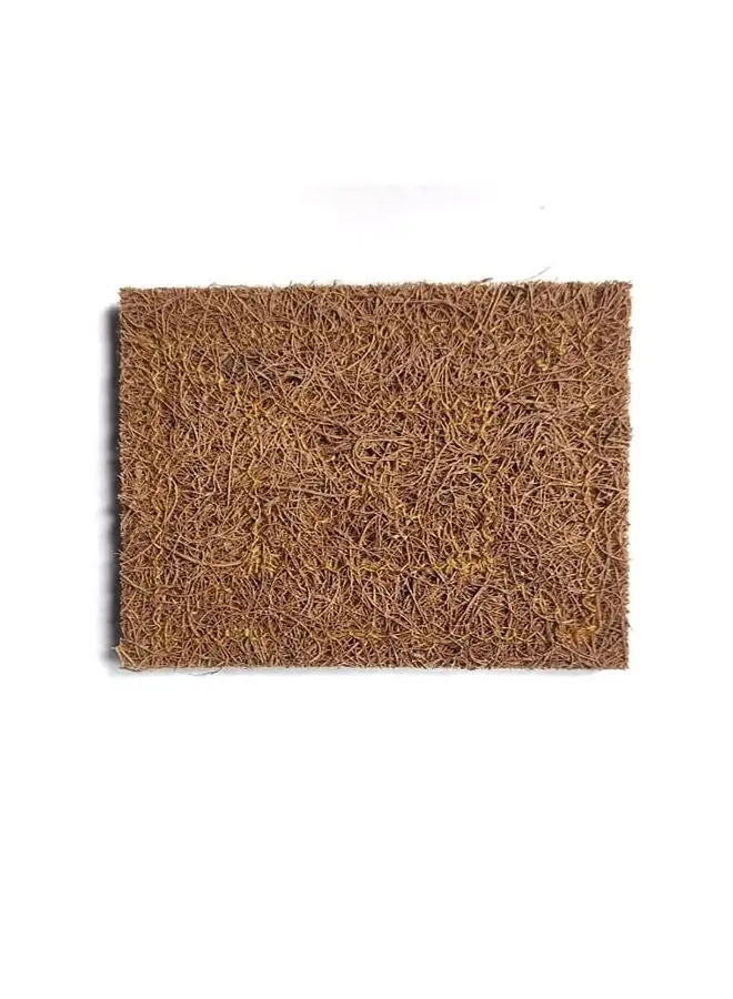 Royalford Coconut Fibre Scrubber, 2 pcs pack, Natural Fibre, RF10822 | Biodegradable Sponge | Eco Friendly Washing up Sponge for Dishes | Scratch-Less Cleaning