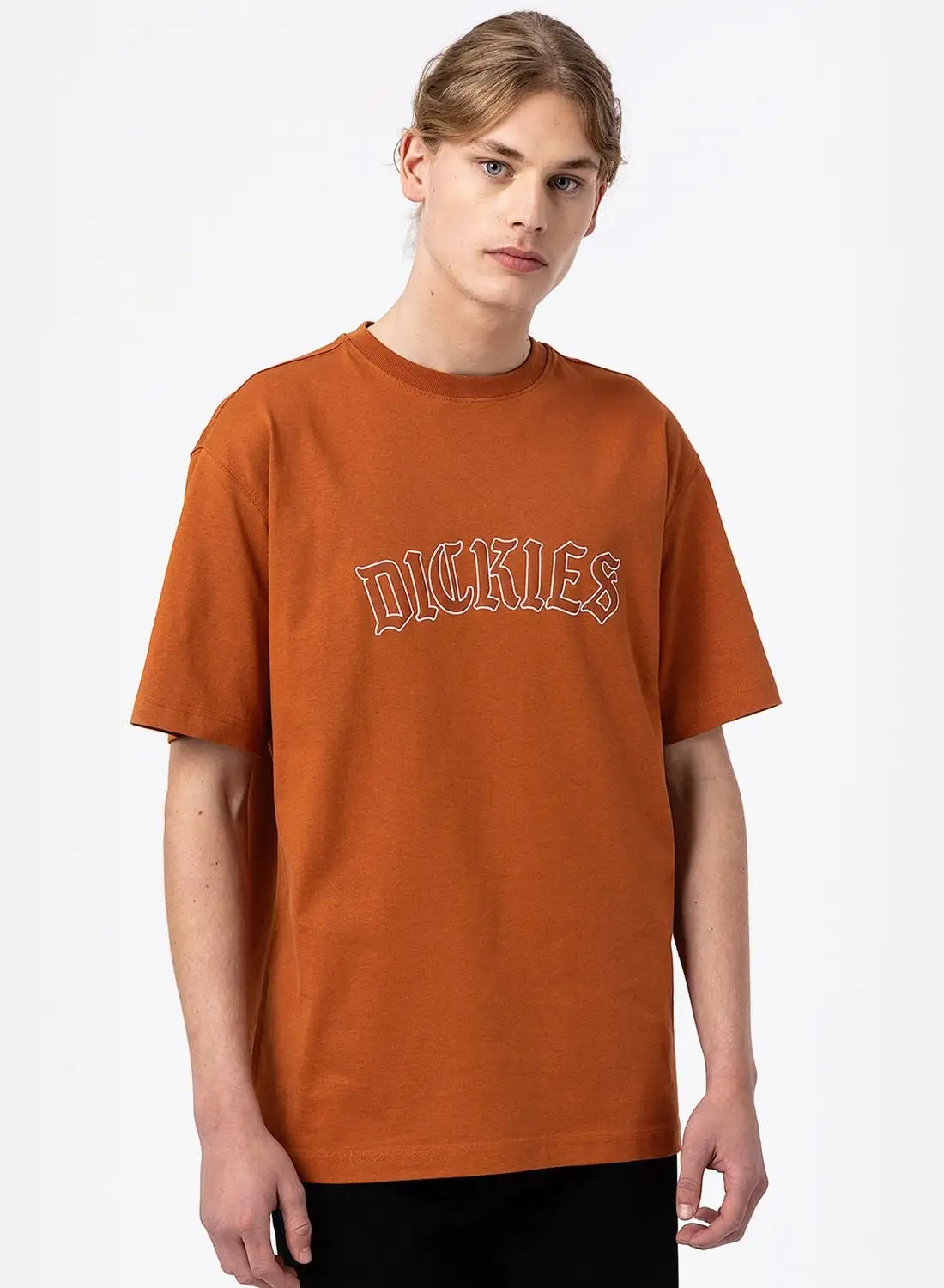 Dickies Union Springs T-Shirt