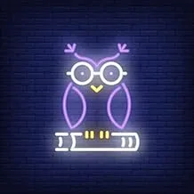 BPA Owl Neon Light, Birds, Bedroom, Multicolour, LED, 50x50 cm