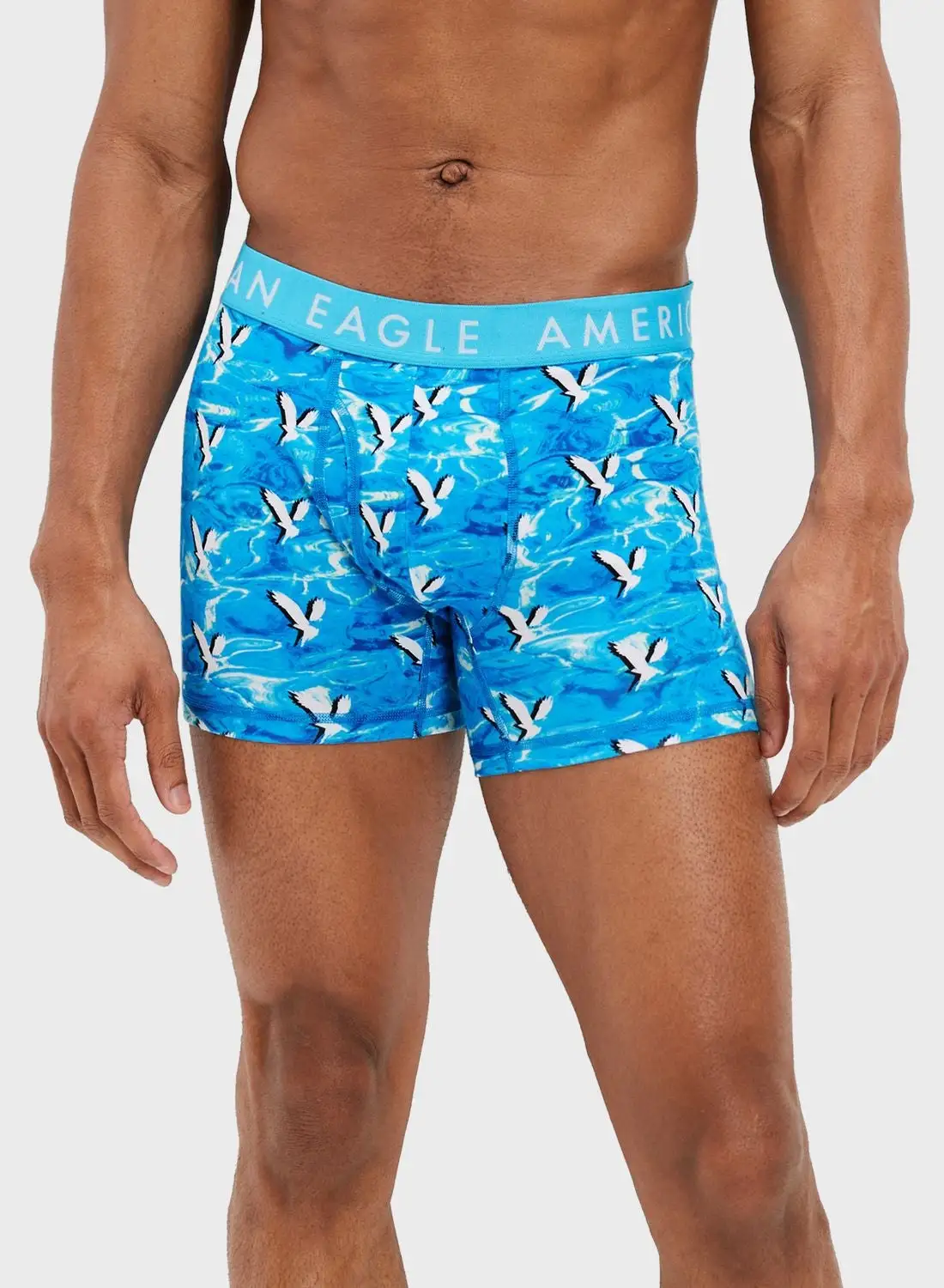 American Eagle Logo Band Printed Trunks