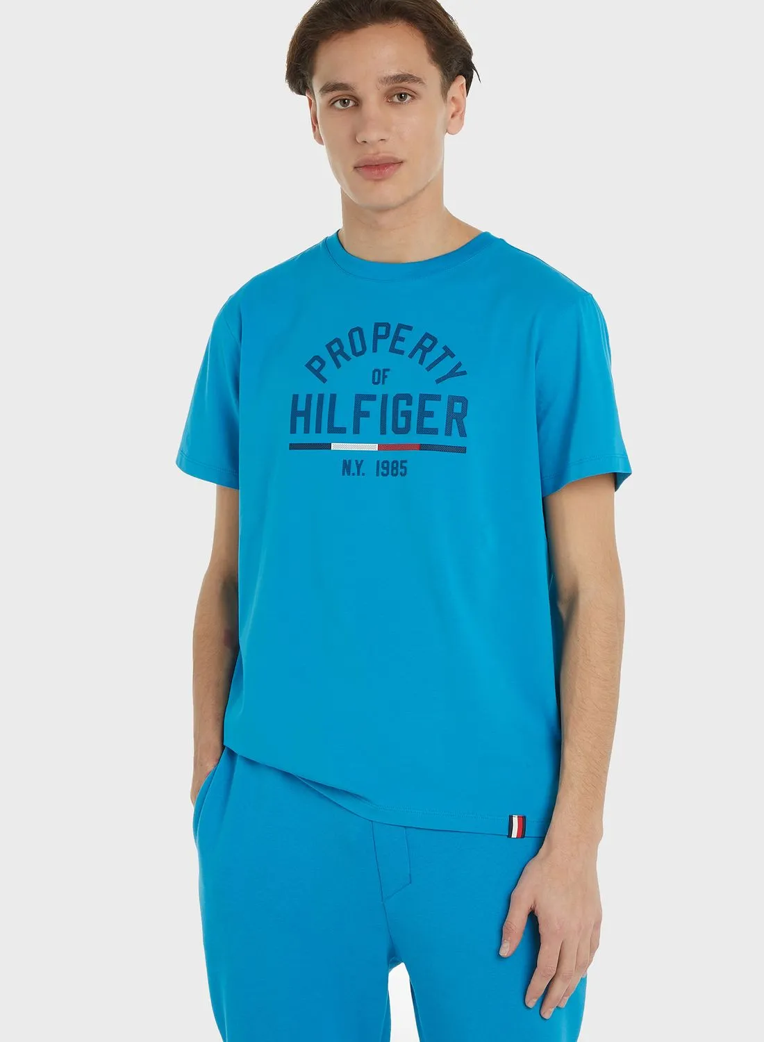 TOMMY HILFIGER Essential Graphic T-Shirt