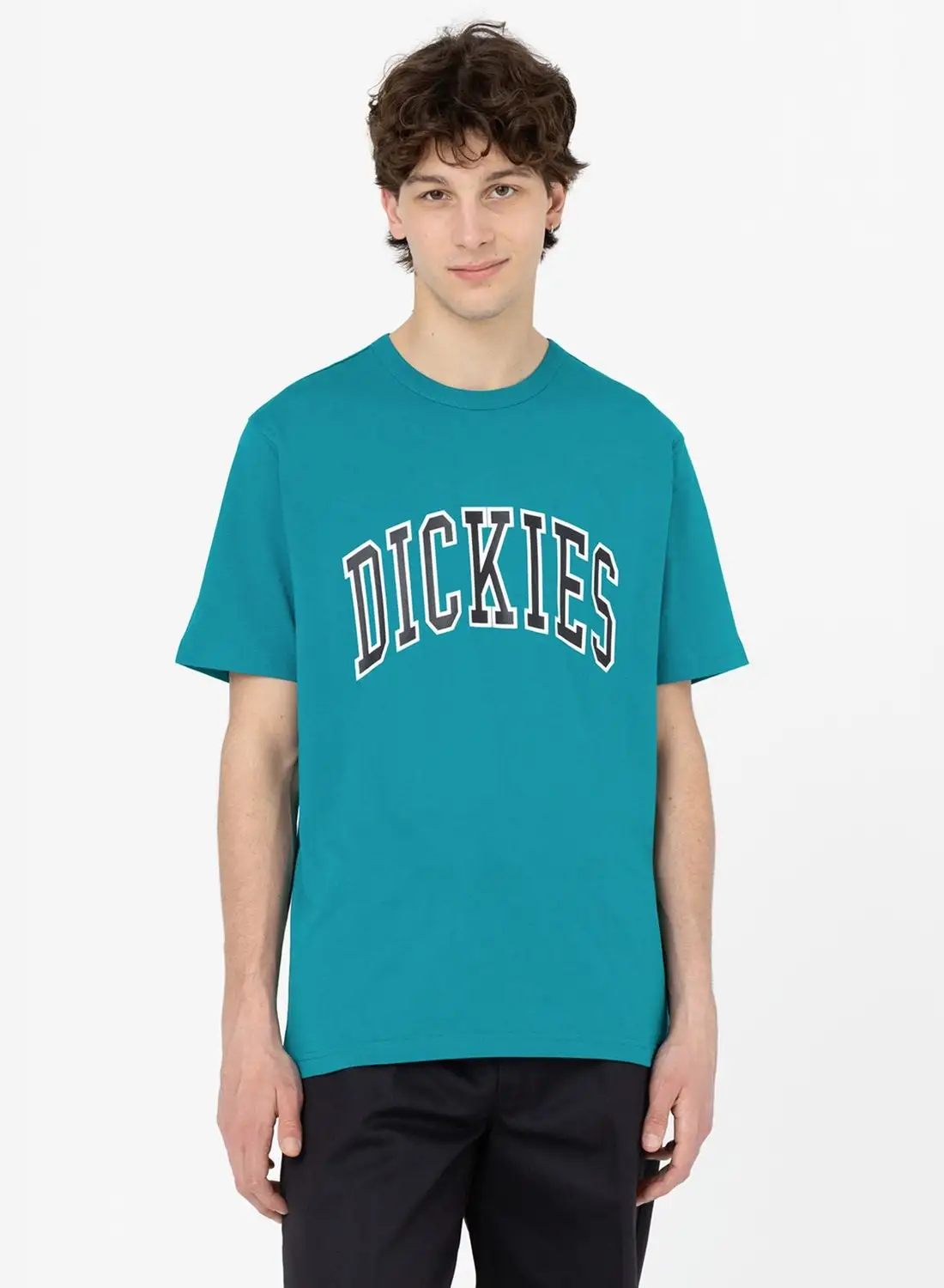 Dickies Aitkin T-Shirt