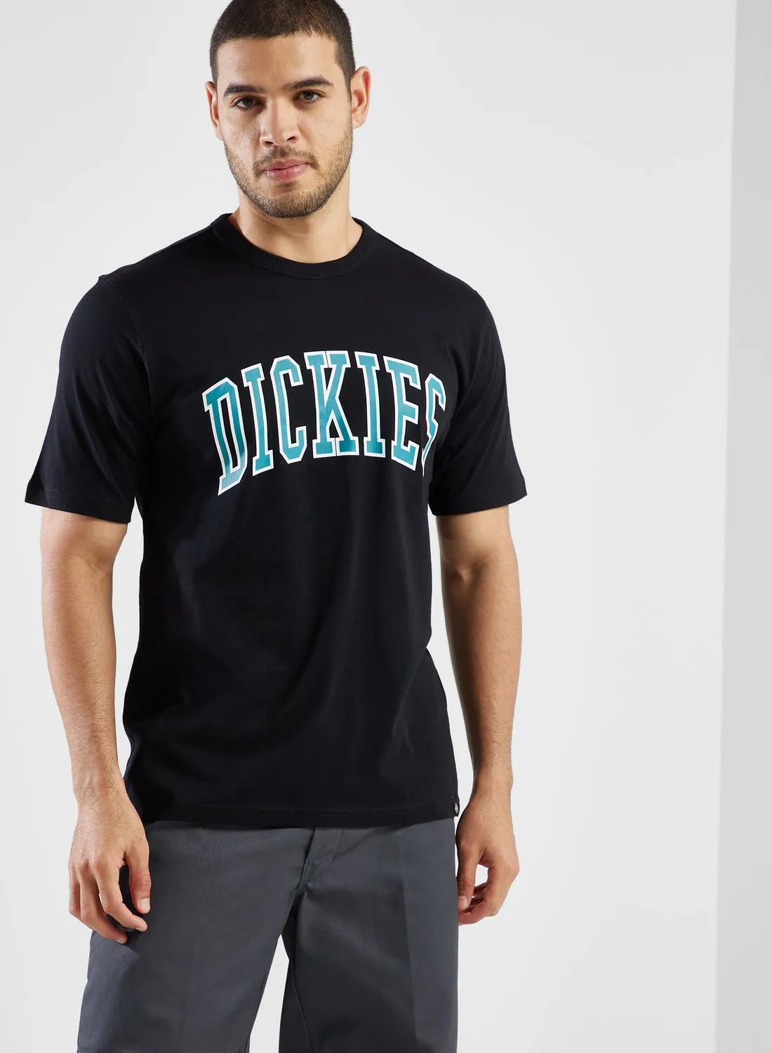 Dickies Aitkin T-Shirt