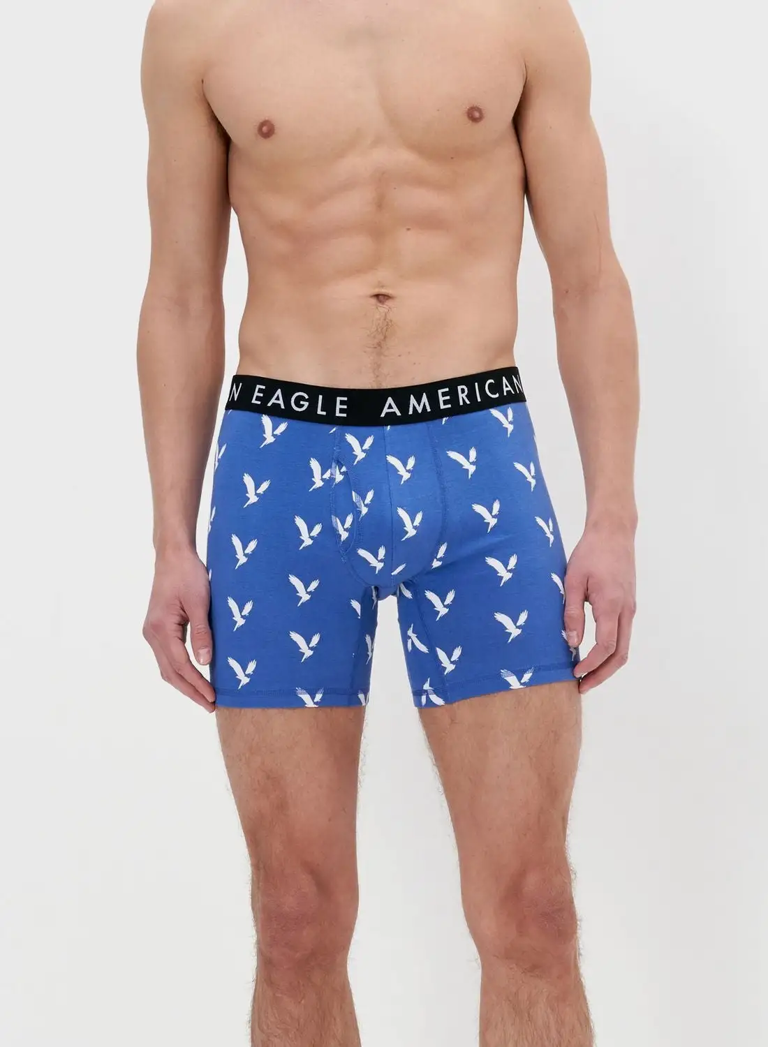 American Eagle 3 Pack Logo Band Trunks