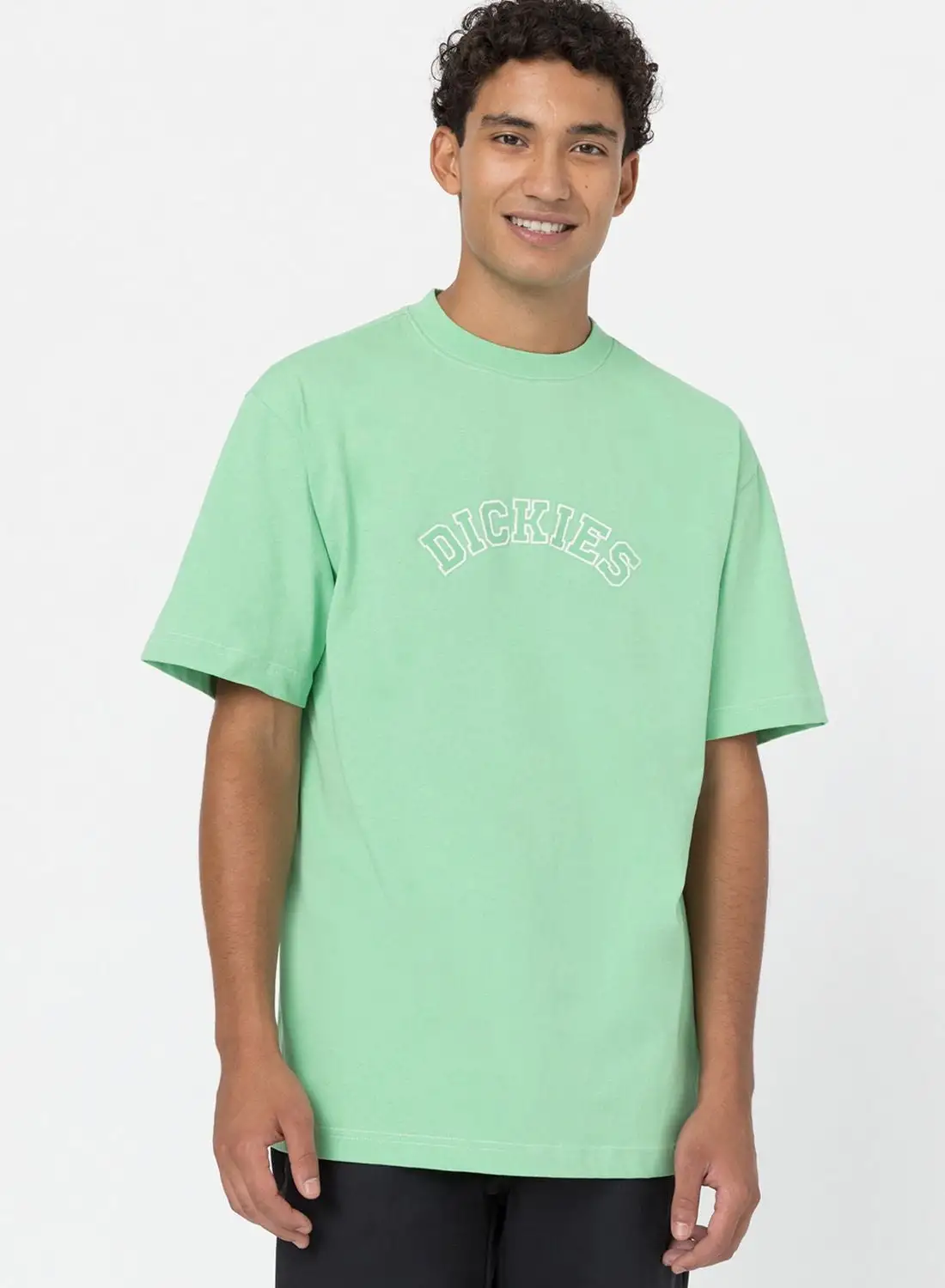 Dickies West Vale T-Shirt