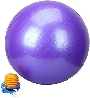 Purple Color 65cm Exercise Fitness Aerobic Ball For Gym Yoga Pilates Pregnancy Birthing Swiss