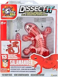 SLIMY Experiment Set Salamander Original Slime Set, Laboratory, Award winning STEM/Mint Educational Toy, with Play Clay and Dicing Tool Toy from 6 Years, 38071