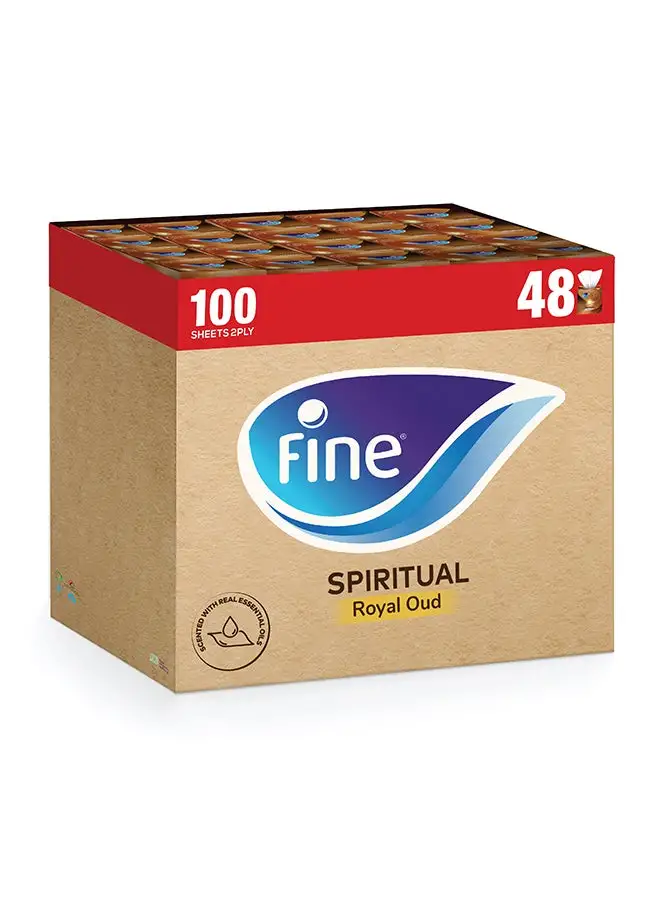 Fine Sterilized Facial Tissues 2 Ply 100 Sheets Pack of 48 White