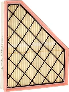 Acdelco gm Original Equipment A3178C Air Filter