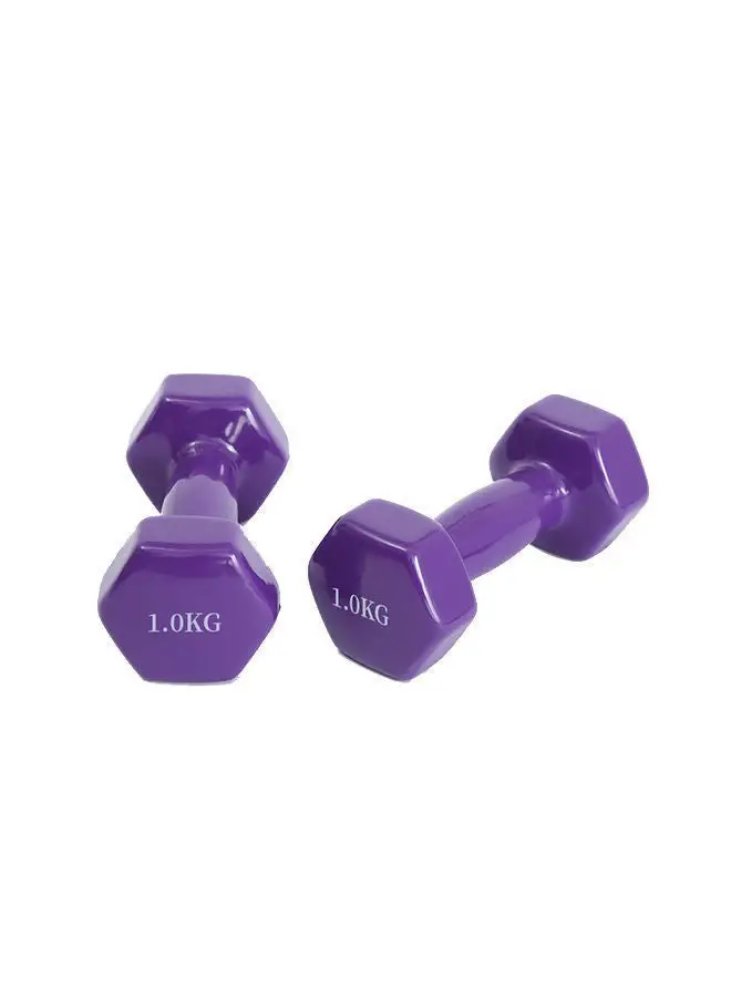 HIGHFLY Set Of 2 Vinyl Coated Dumbbell 1kg