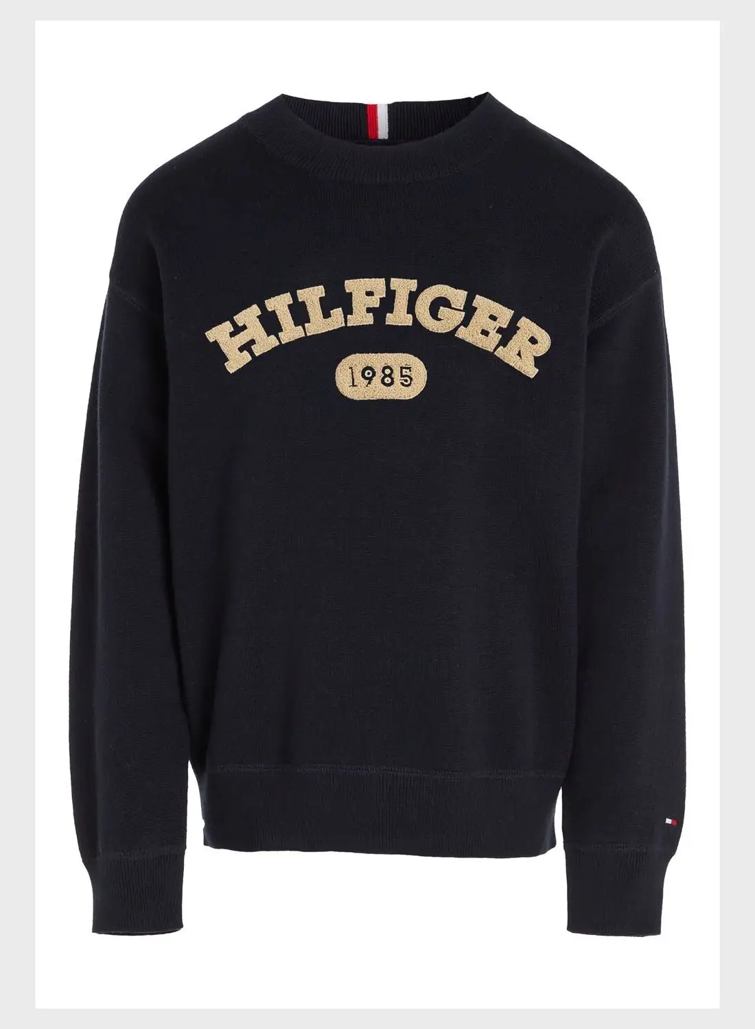 TOMMY HILFIGER Kids Varsity Sweater