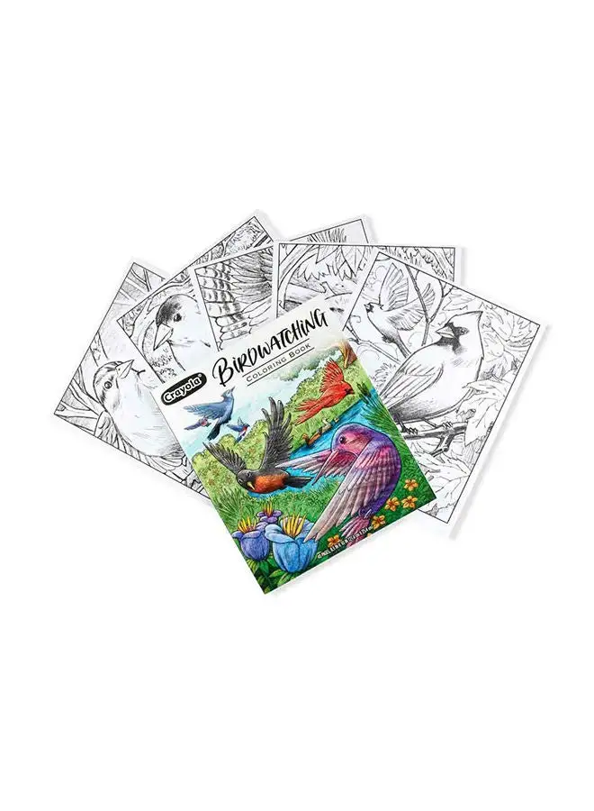 Crayola 40-Page Coloring Book  Bird Watching