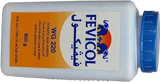 Fevicol Glue - 850g