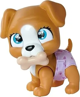 SIMBA - PAMPER PETZ DOG