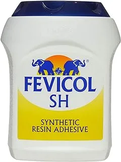 Fevicol White Glue, 1 Kg