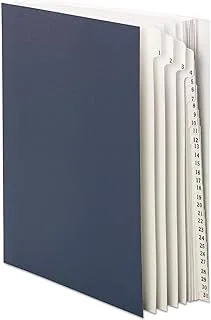 Smead Desk File/Sorter, Daily (1-31), 31 Dividers, Letter Size, Blue (89294)