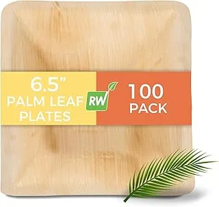 Palm Leaf Bowl, Square Palm Leaf Bowl - Palm Salad Bowl, Organic Biodegradable Leaf Bowl - 7 Inch, 12 Ounce - 100ct Box - Restaurantware