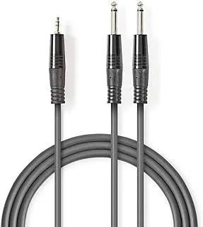 Nedis Stereo Audio Cable 2 x 6 .35 mm Male - 3.5 mm Mac