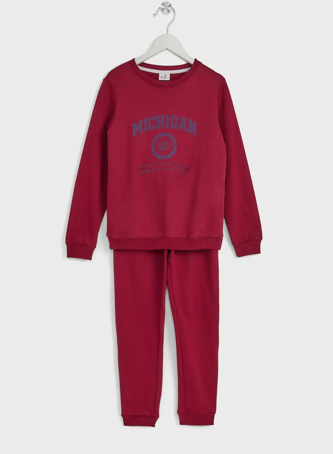 Pinata Boys Printed Sweatshirt And Jogger Set