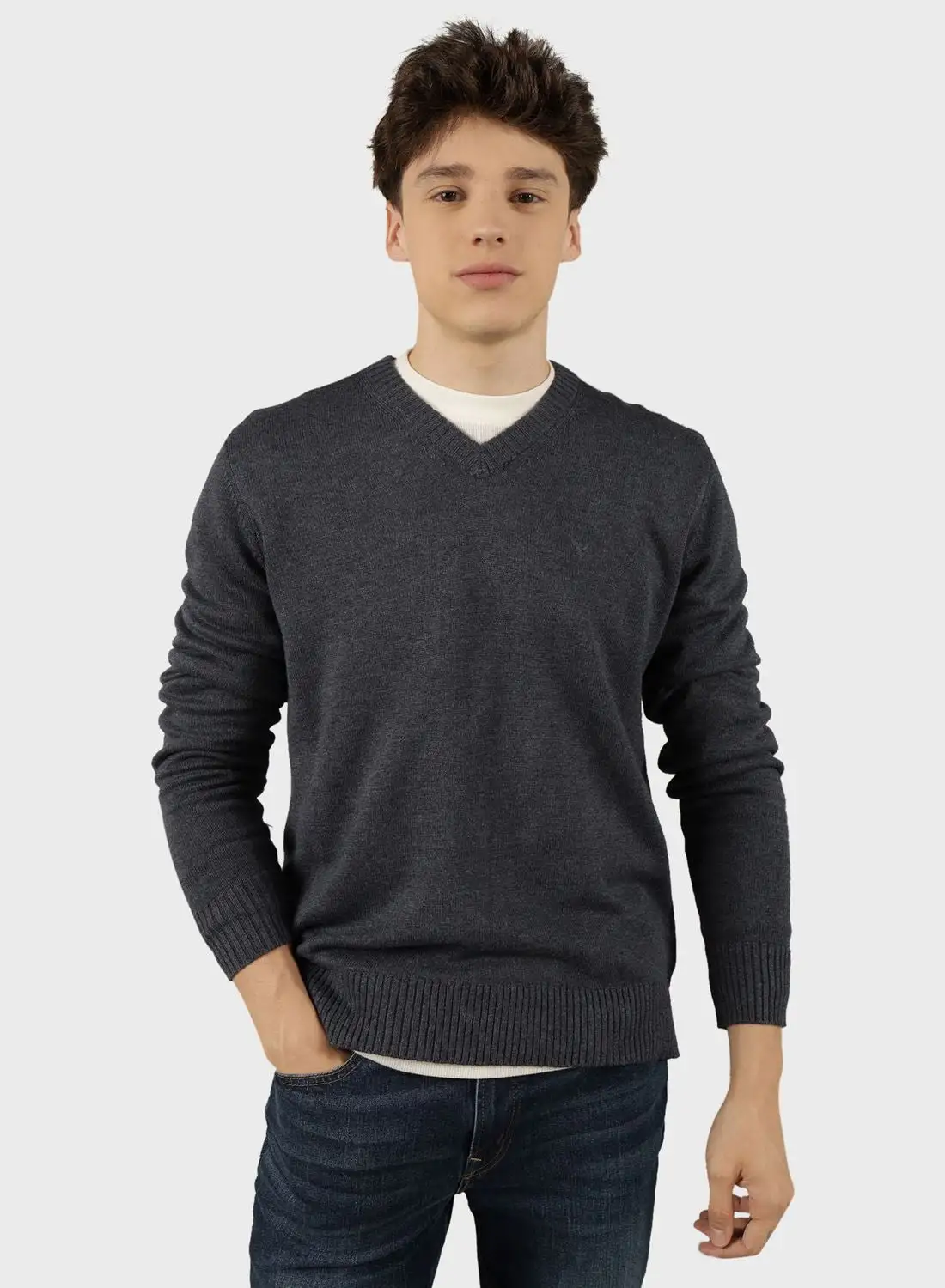 American Eagle Logo V-Neck Sweater