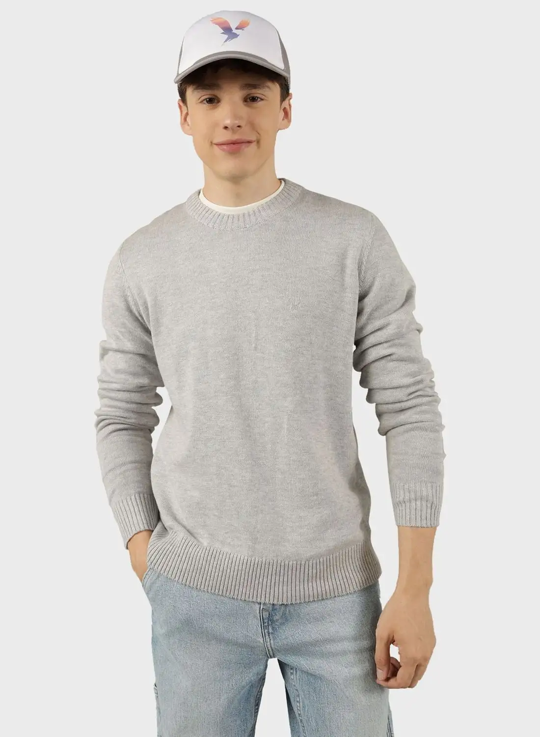 American Eagle Logo Crew Neck Sweater