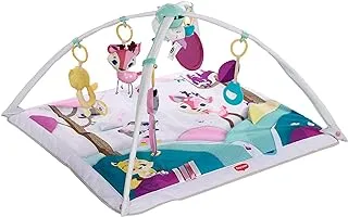 Tinylove Gymini Deluxe Play Mat, 0 to 18 months, Tiny Princess Tales, Piece of 1