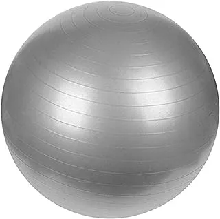 LifeSport Anti Burst Gym Ball Fitness Yoga Exercise Home Pregnancy Birthing Ball (Size 65cm)