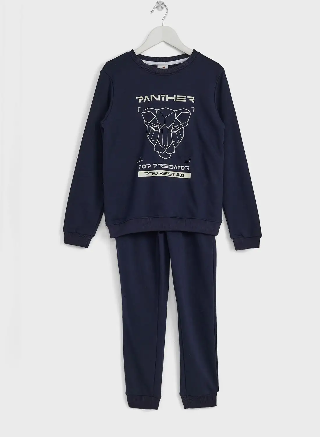 Pinata Boys Graphicl Printed Sweatshirt And Jogger Set