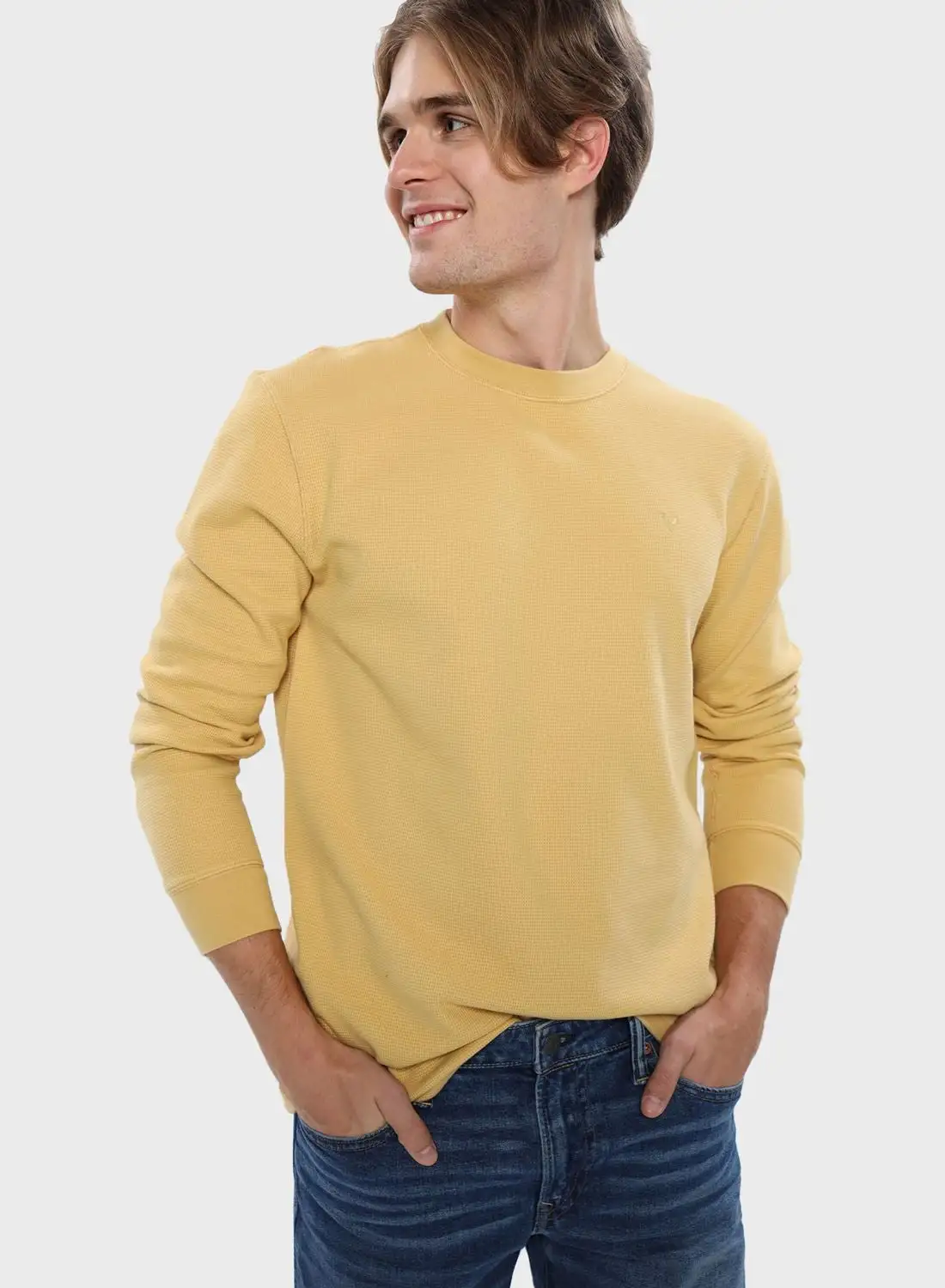 American Eagle Essential Crew Neck Sweatshirt