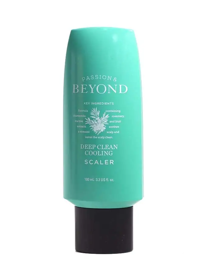 THEFACESHOP Beyond Deep Clean Cooling Scaler 100ml