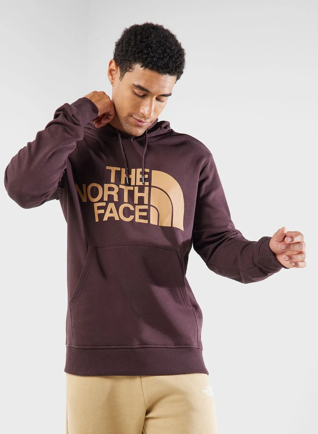 northface Standard Hoodie