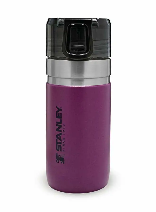 Stanley Vacuum Insulated Water Bottle 0.47L / 16OZ Berry Purple – Stainless Steel Thermos for Cold Beverages | Leakproof See-Through lid | BPA FREE | Easy Carry | Dishwasher safe | Lifetime Warranty