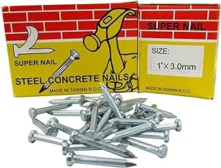 Super Nails Steel Concrete (1in)