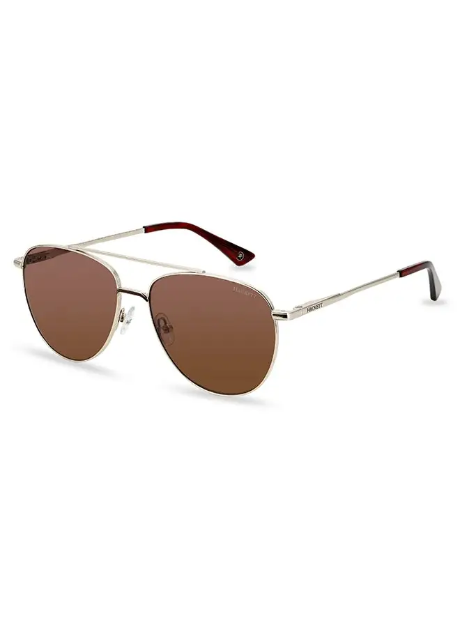 Hackett Men's Sunglasses - HSK1148 - Lens Size: 56 Mm