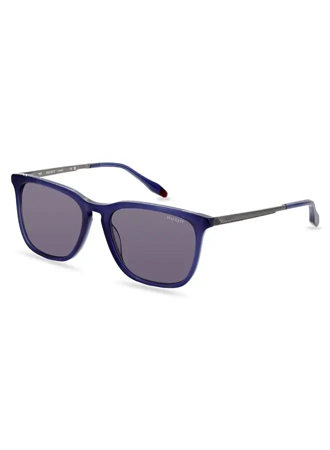 Hackett Men's Sunglasses - HSK1146 - Lens Size: 54 Mm