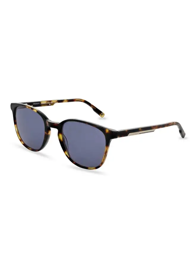 Hackett Men's Clubmaster Sunglasses - HSK3343 - Lens Size: 53 Mm