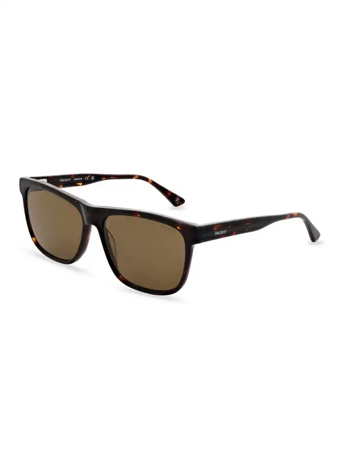 Hackett Men's Rectangular Sunglasses - HSK3346 - Lens Size: 57 Mm