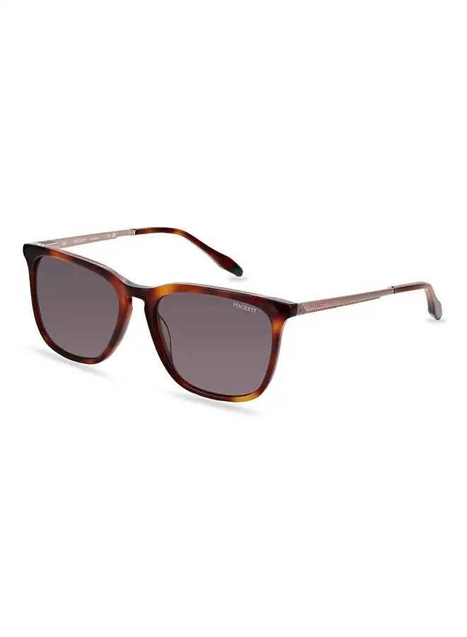 Hackett Men's Sunglasses - HSK1146 - Lens Size: 54 Mm