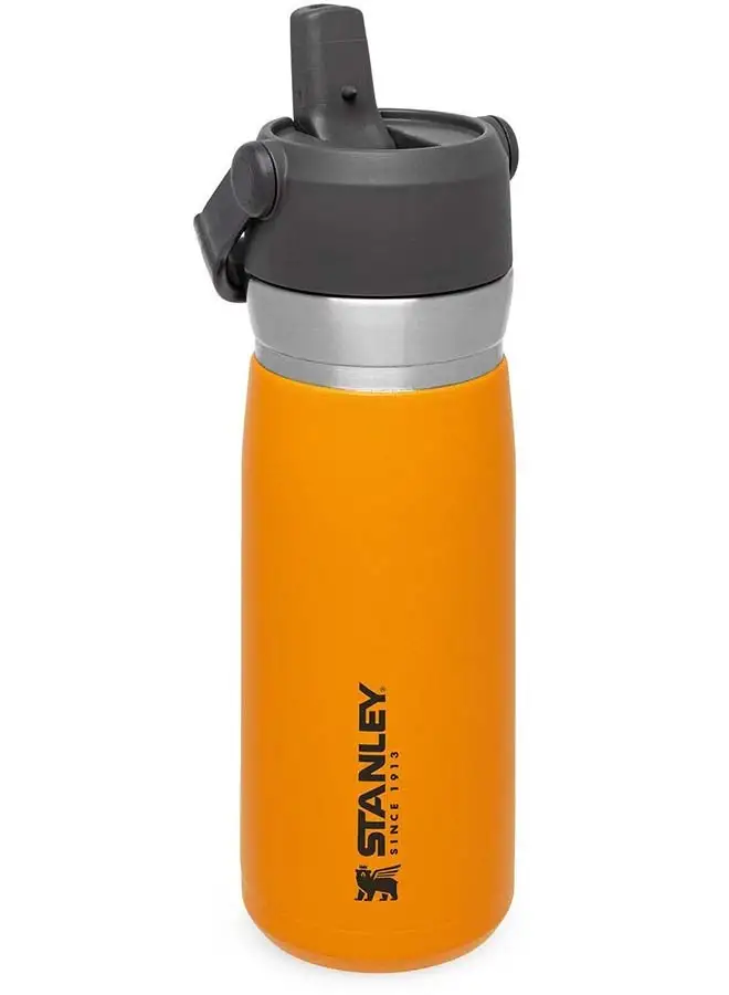 Stanley IceFlow™  Flip Straw Water Bottle 0.65L / 22OZ Saffron – Leakproof | Stainless Steel Water Bottle with Flip Straw | BPA FREE | Easy to Carry | Dishwasher safe | Lifetime Warranty