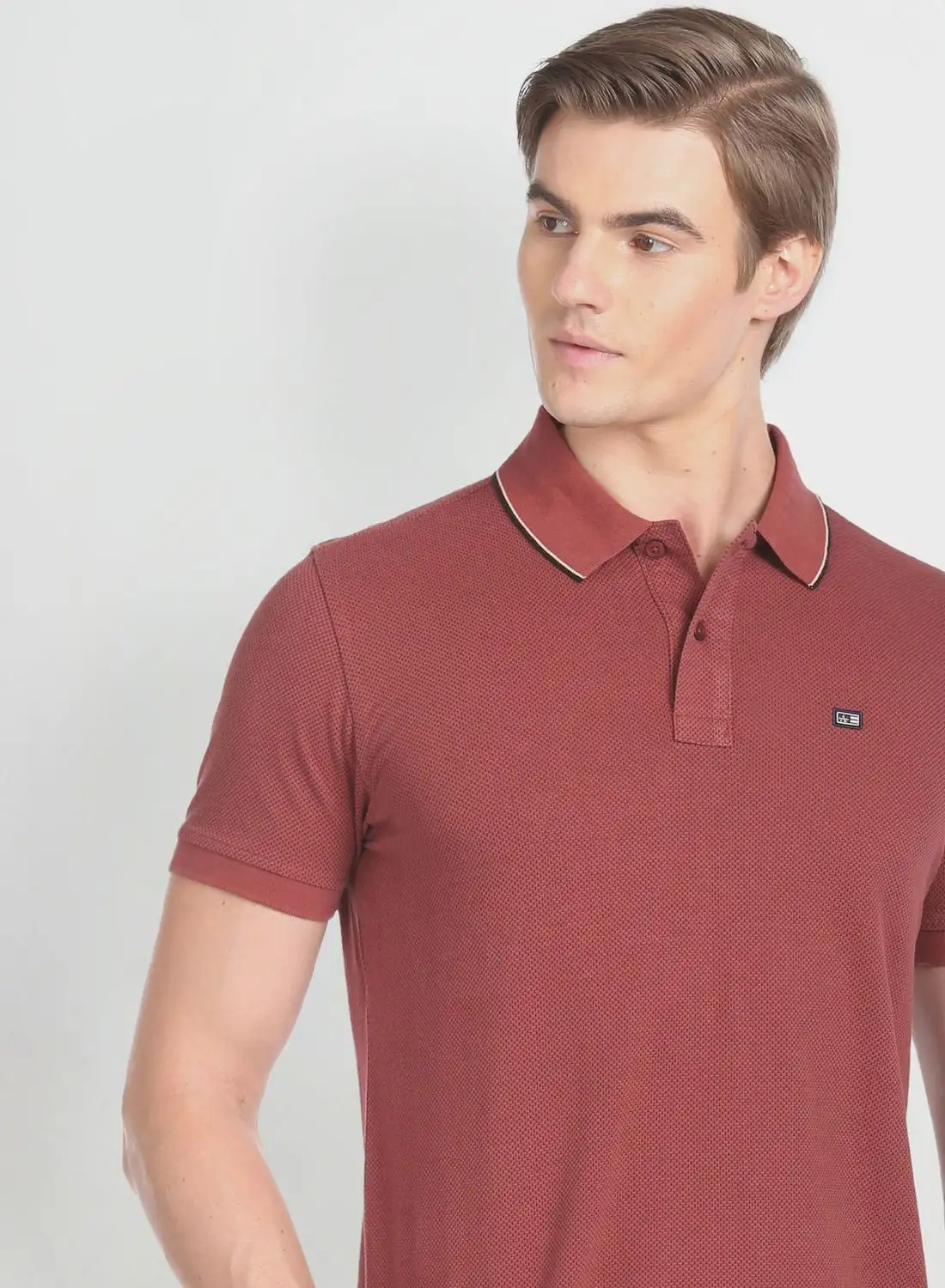 Arrow Logo Regular Fit Polo