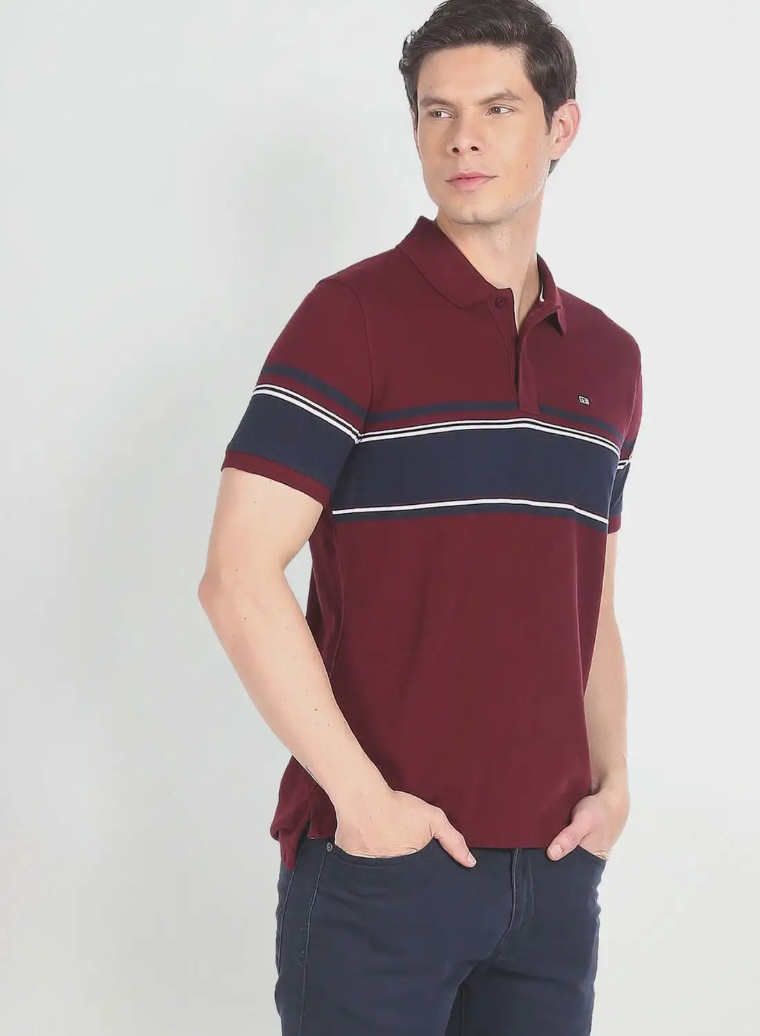 Arrow Striped Regular Fit Polo