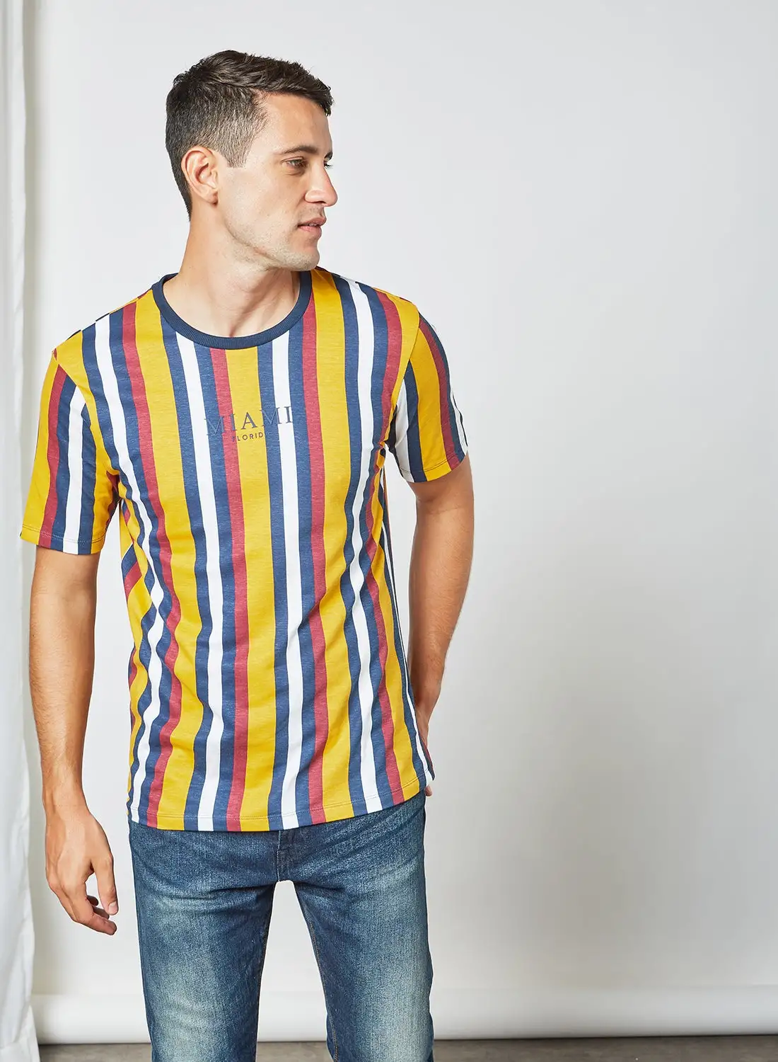 R&B Slim Fit Striped T-Shirt Multicolour